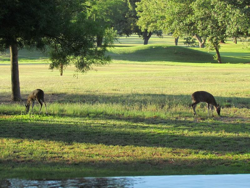 Matumi Golf Lodge image