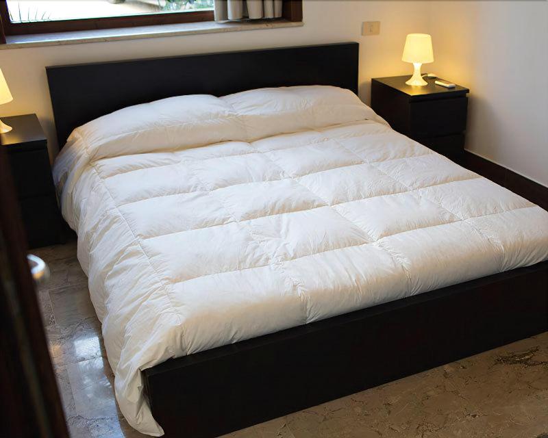 B&B Kore image