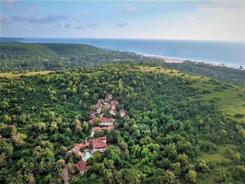 Golden Tulip Goa Mandrem image