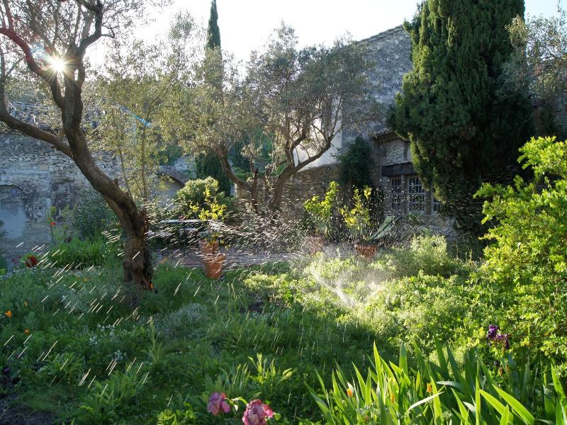 Maison Orsini image
