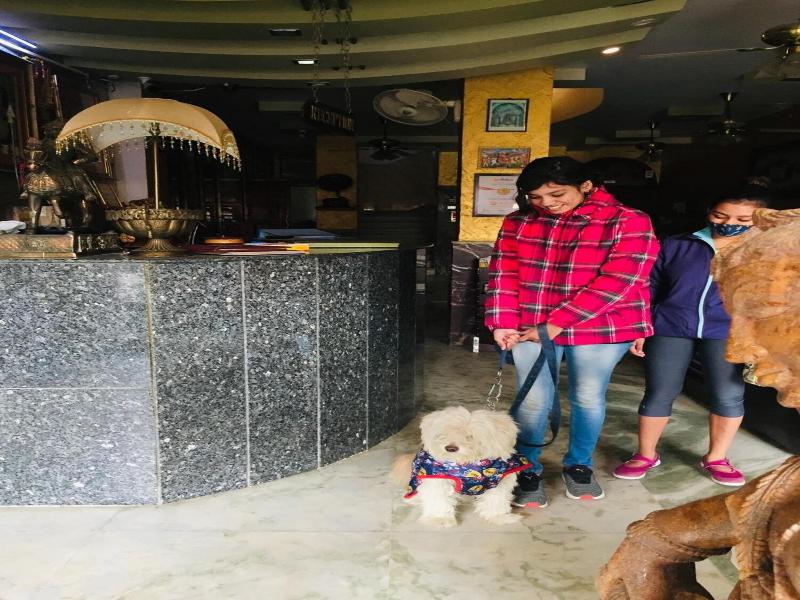 Hotel Meenakshi Udaipur image