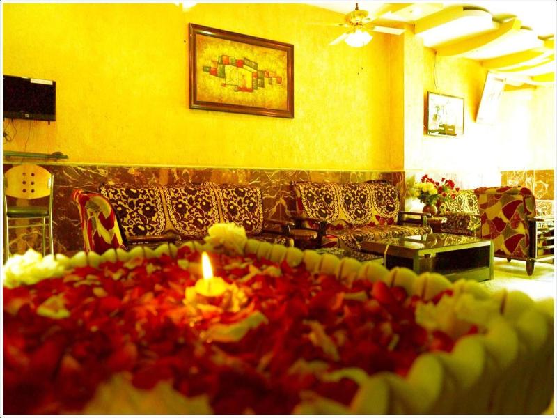 Hotel Meenakshi Udaipur image