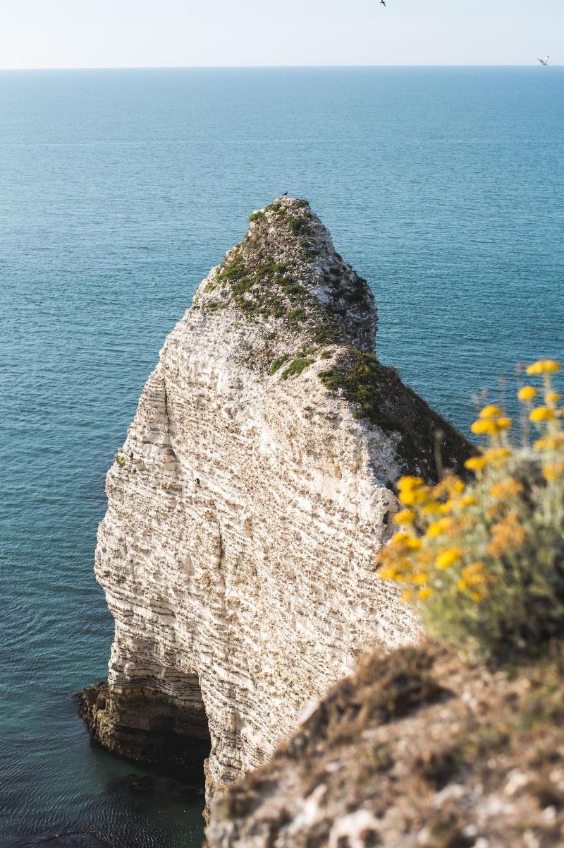 Les Tilleuls Etretat image