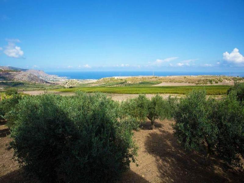 Villa Panoramica Sul Mare image