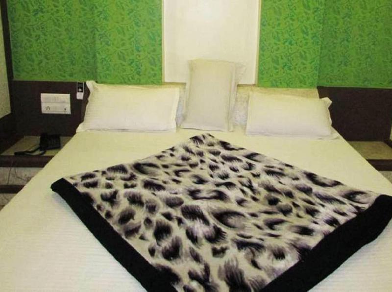 Hotel Metro Jiapur image