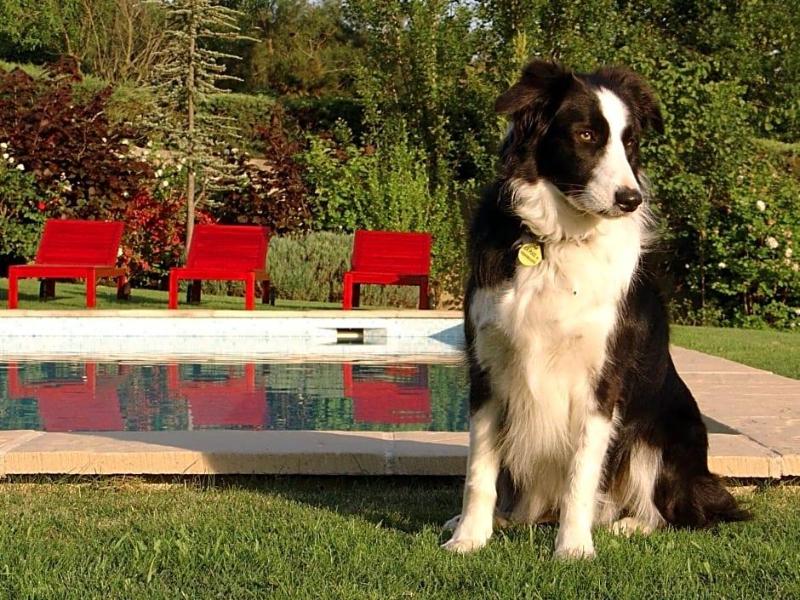 Bastide Tara image