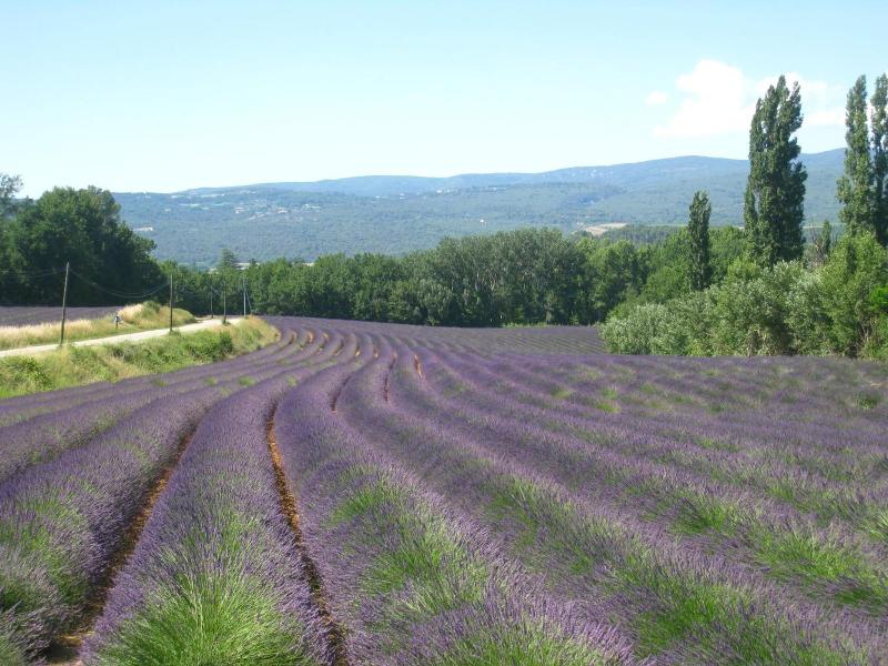 Le Refuge image