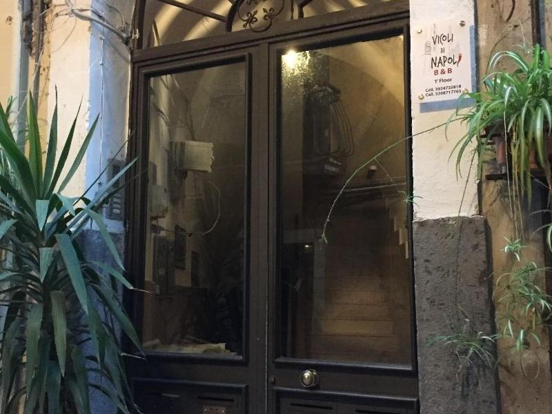 Vicoli Di Napoli image