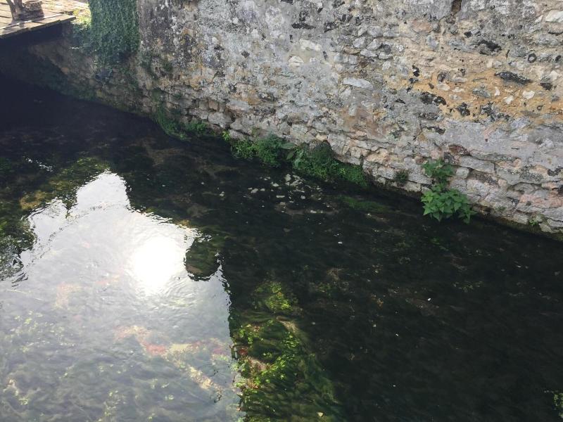 Le Moulin de la Côte - Chambre d'Hôtes image