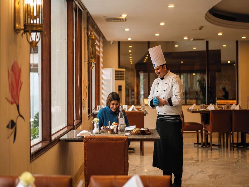 Larisa Resort, Shimla image