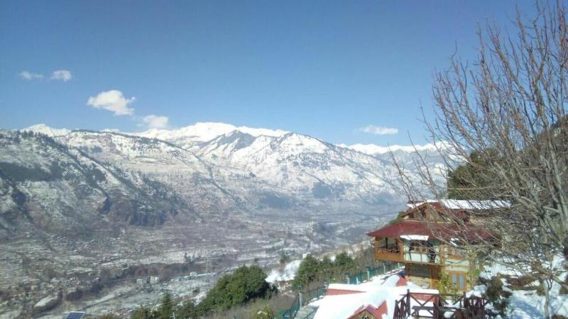 Himalayan Kothi Kais image