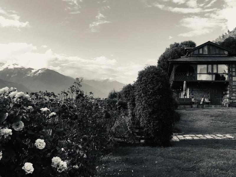 Himalayan Kothi Kais image