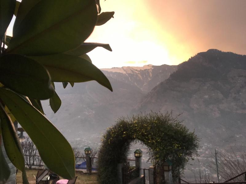 Himalayan Kothi Kais image