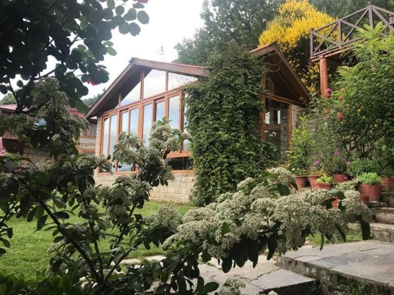 Himalayan Kothi Kais image