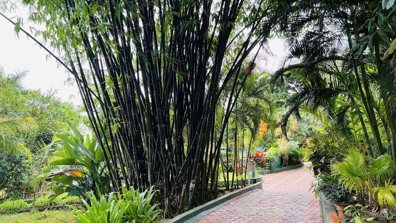 Coorg Jungle Camp Backwater Resort image