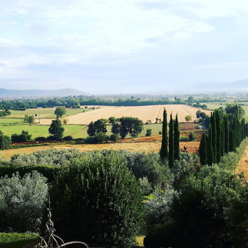Bella Di Ceciliano image