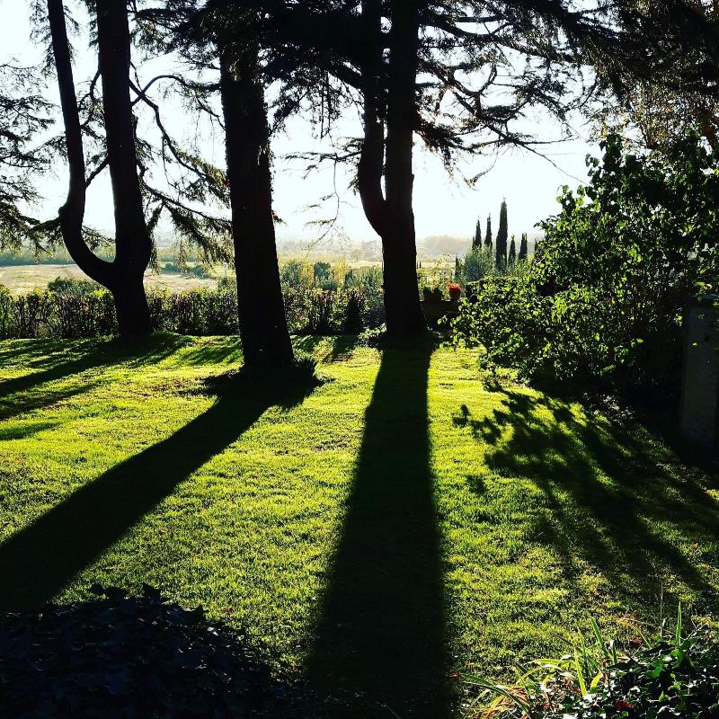 Bella Di Ceciliano image