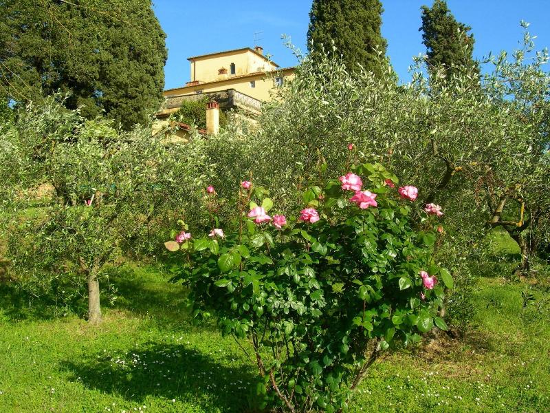 Bella Di Ceciliano image