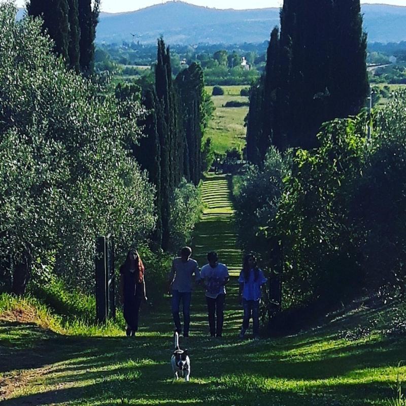 Bella Di Ceciliano image