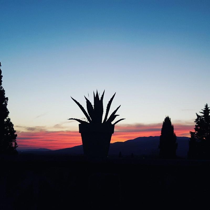 Bella Di Ceciliano image