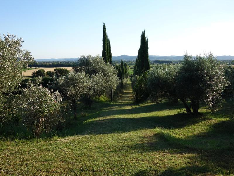 Bella Di Ceciliano image