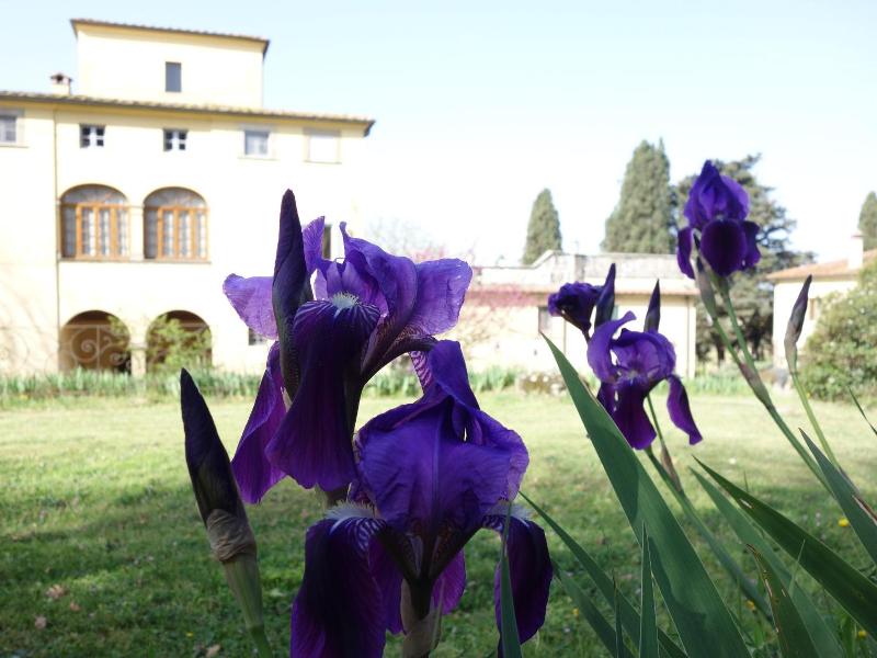 Bella Di Ceciliano image