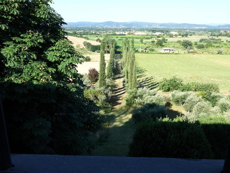 Bella Di Ceciliano image