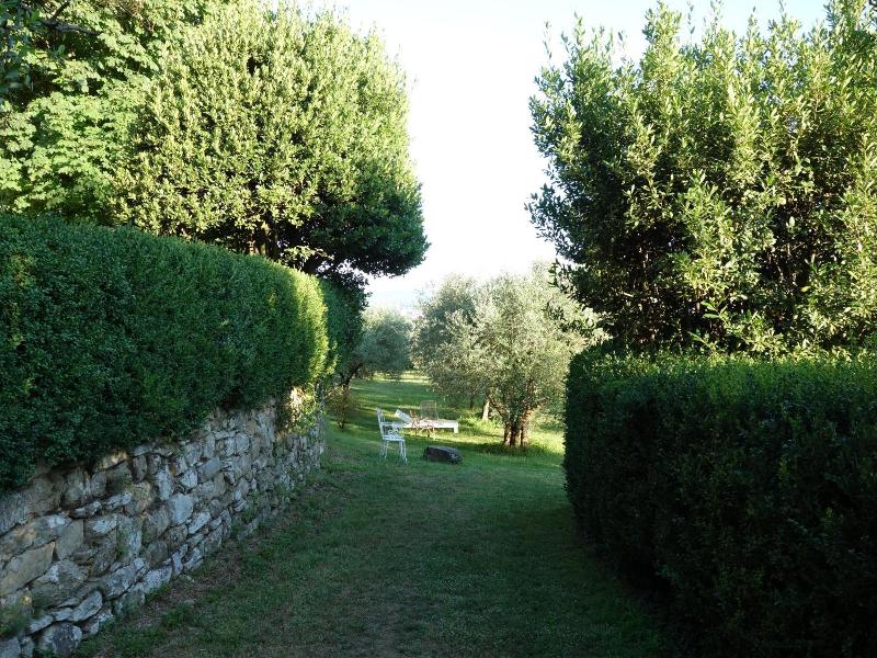 Bella Di Ceciliano image