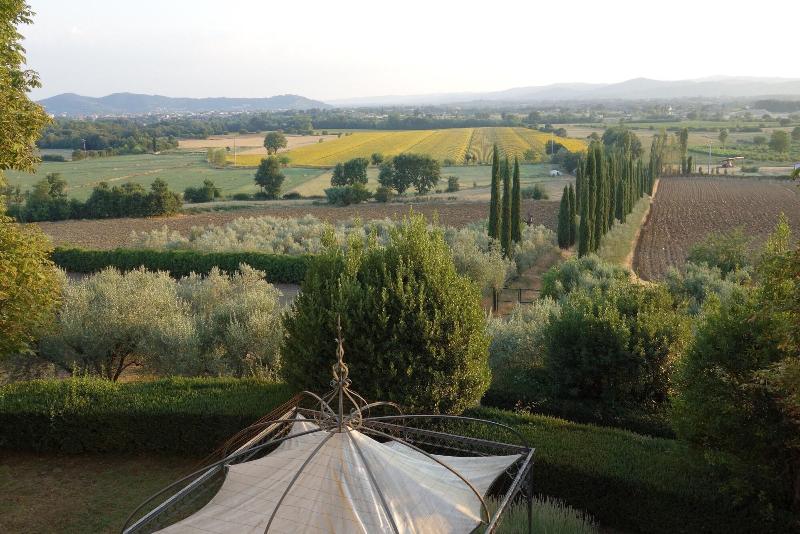 Bella Di Ceciliano image