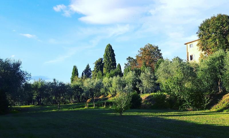 Bella Di Ceciliano image