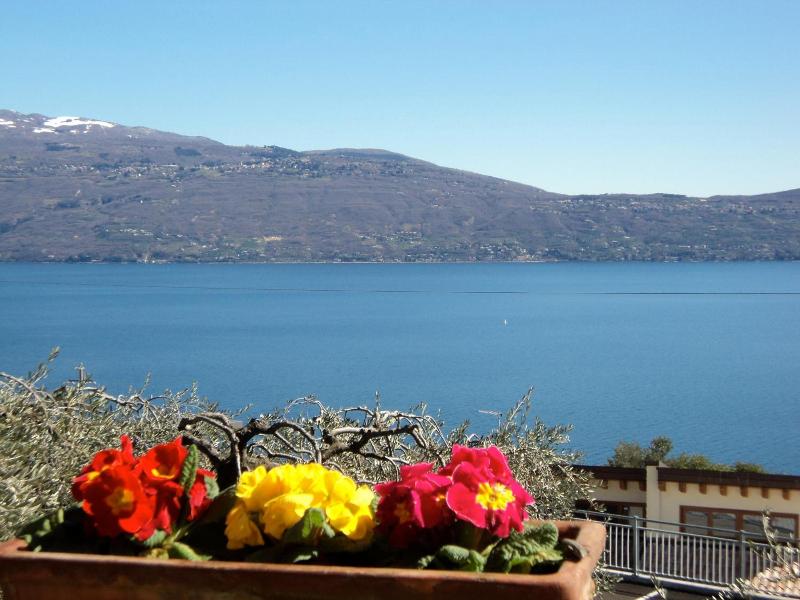 B&B Giardini Di Corte image