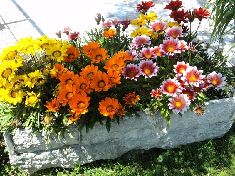 B&B Giardini Di Corte image