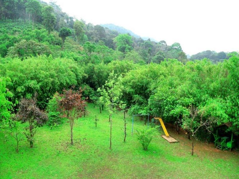 Vythiri Greens Resort