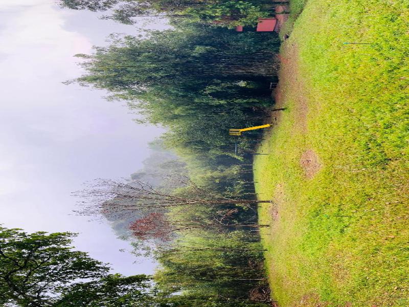 Vythiri Greens Resort