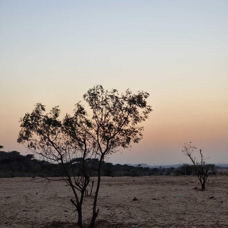 The Glorious Hills Resort Pushkar image