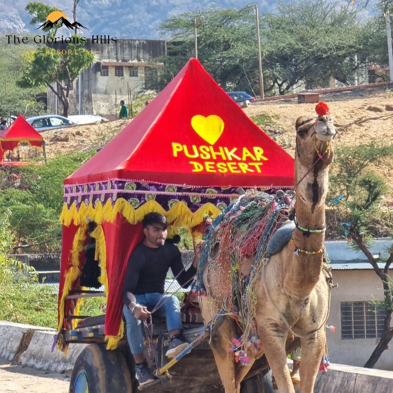 The Glorious Hills Resort Pushkar image