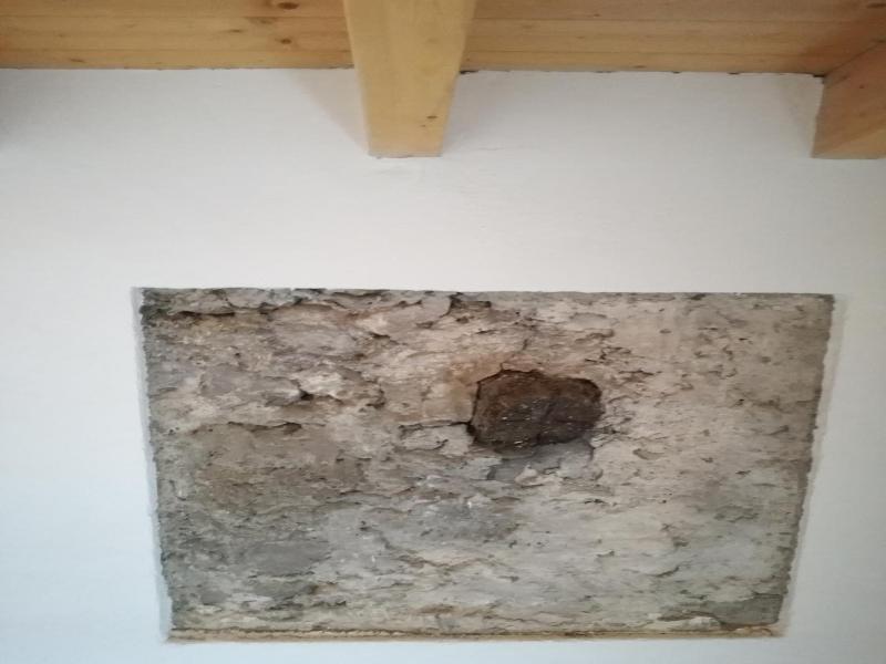 Casa Del Nespolo image