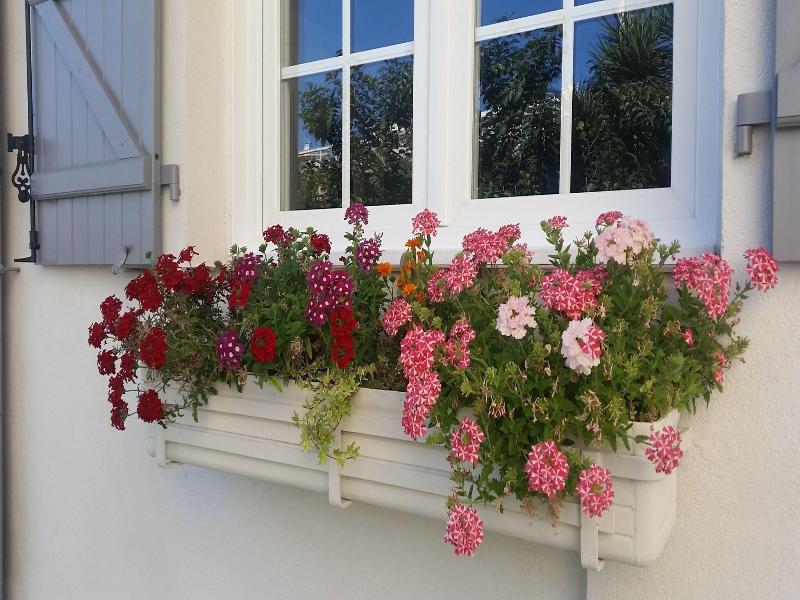 B&B Villa Blanche image