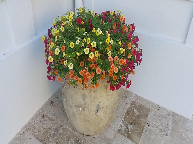 B&B Villa Blanche image