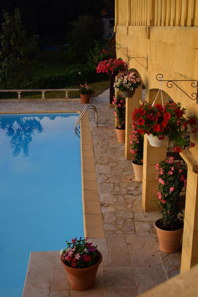 Domaine Lacoste image