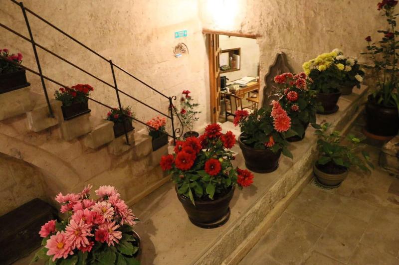 Hanımkız Konagi image