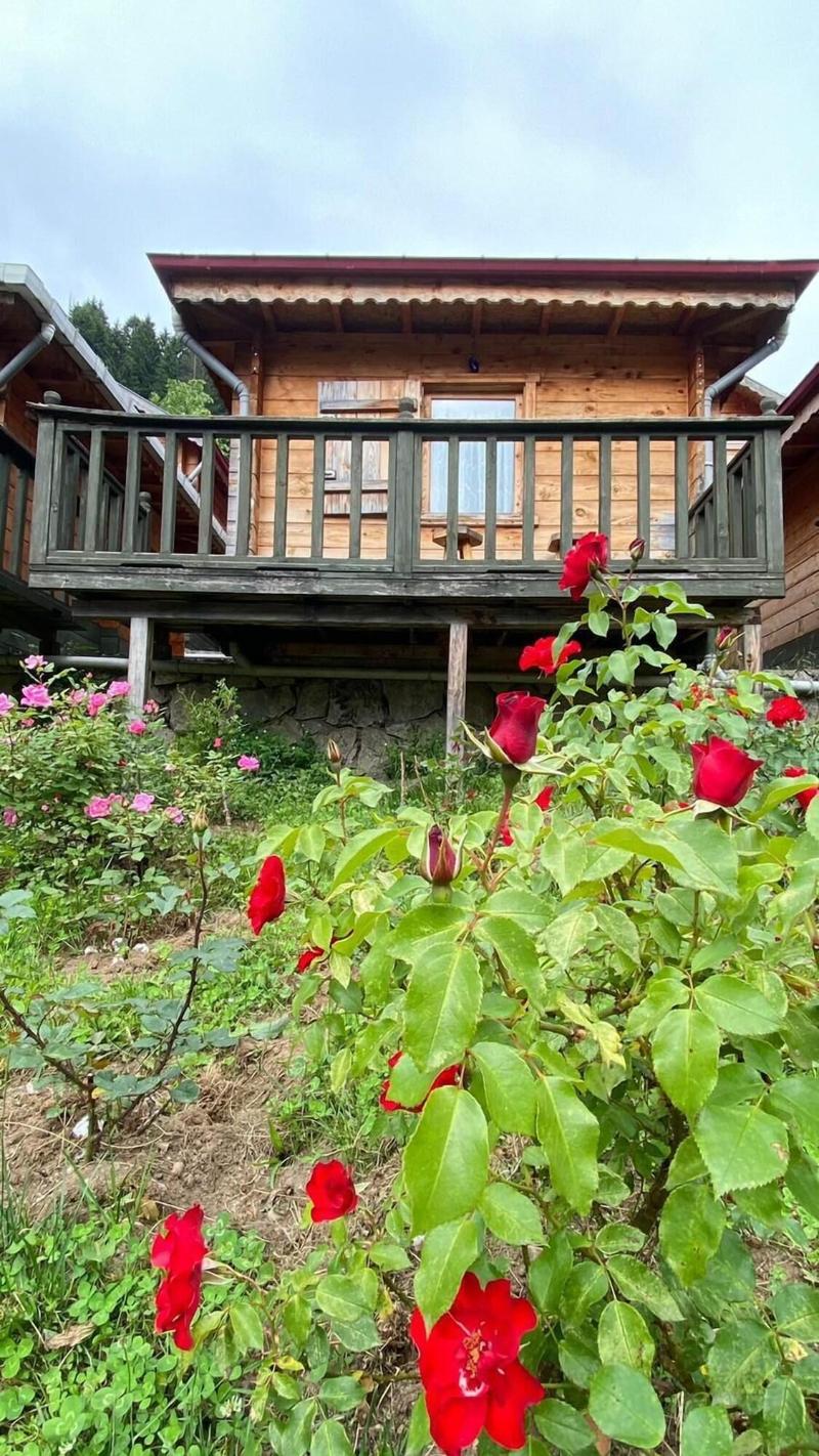 Pilita Bungalov & Restaurant image