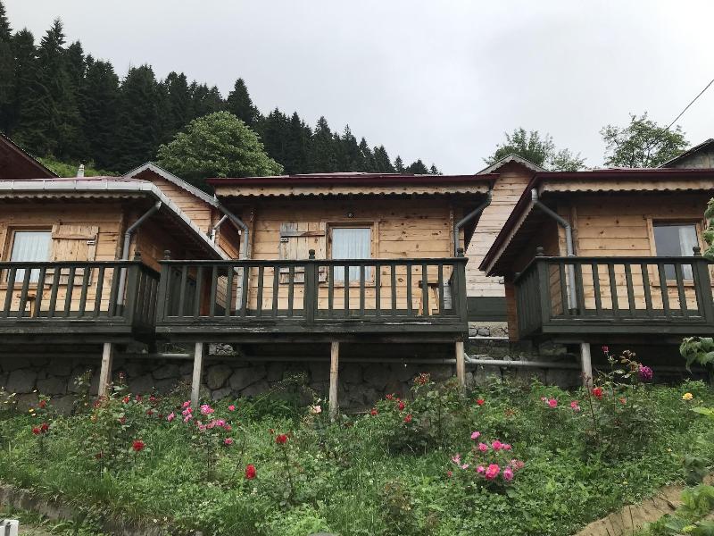 Pilita Bungalov & Restaurant image