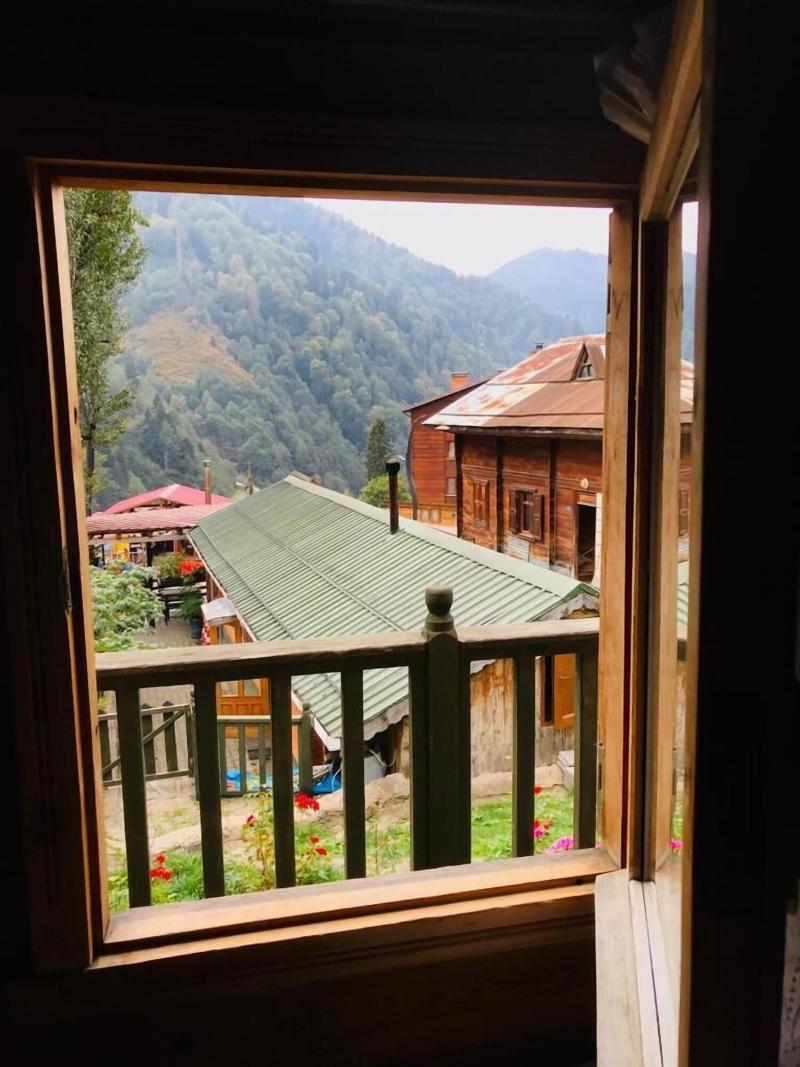 Pilita Bungalov & Restaurant image