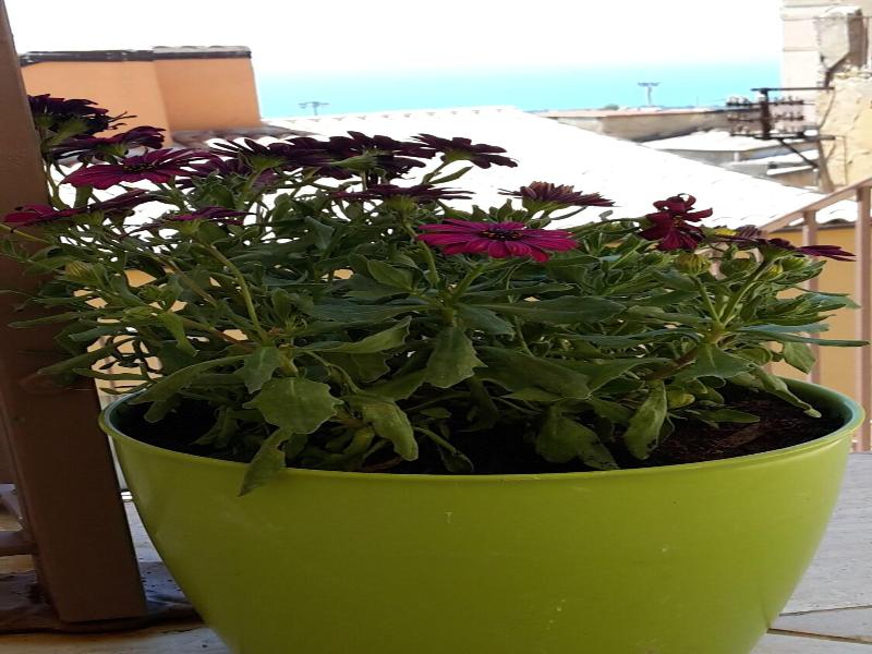 B&B Sogni d'oro image