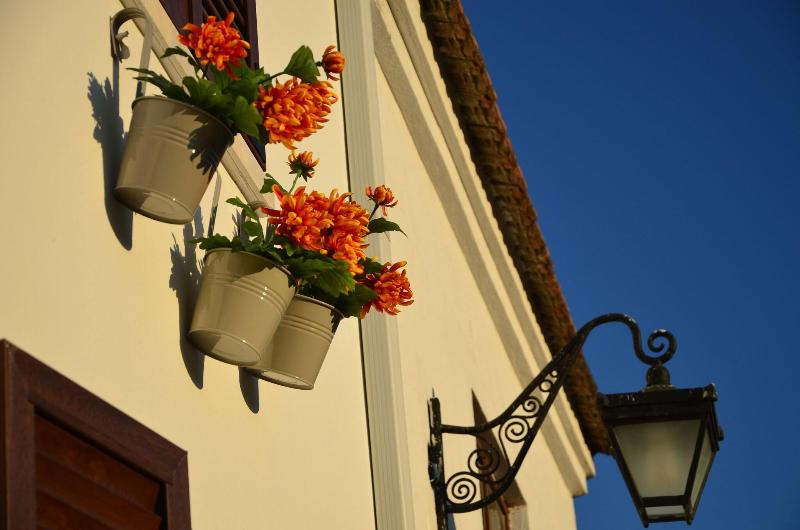 Nova Citrus Hotel