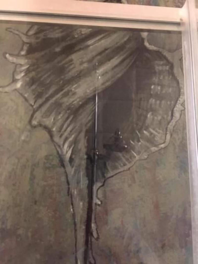 B&B Ginevra image