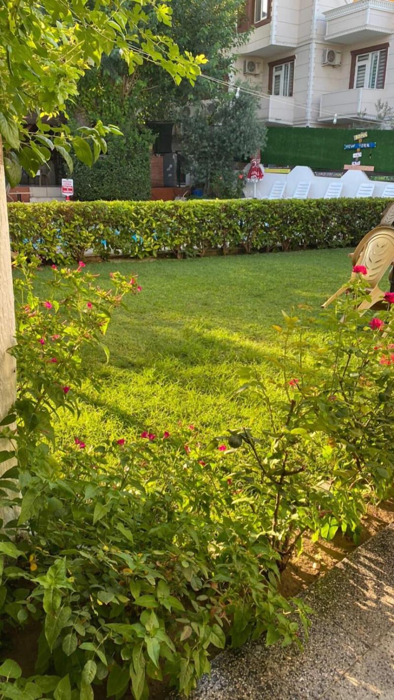 Sunrise Aya Hotel image