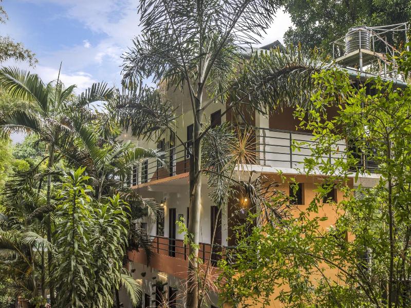 Spice Jungle Resort image