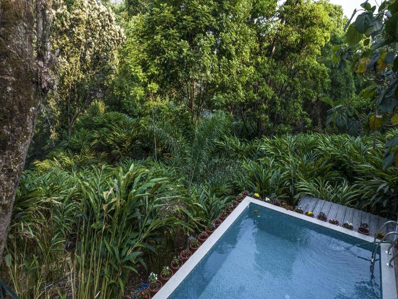 Spice Jungle Resort image